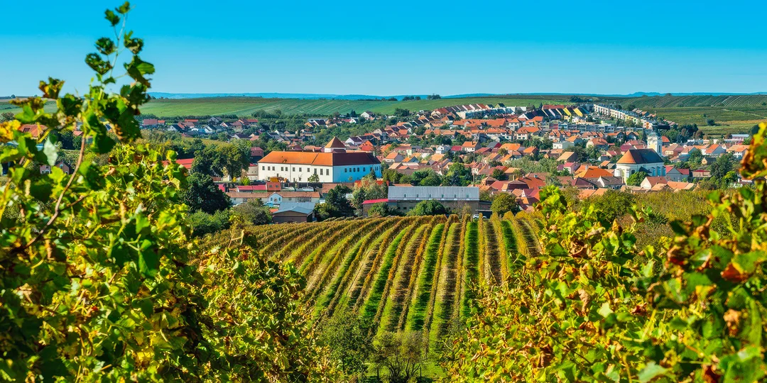 Za vínom a históriou na Moravu: prehliadka pivníc Templárske sklepy spojená s degustáciou, bylinkový raj, rodný dom T. G. Masaryka a ďalšie