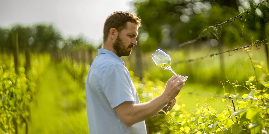 Profesionálna degustácia vín - 10 vzoriek s výkladom od skúseného vinára