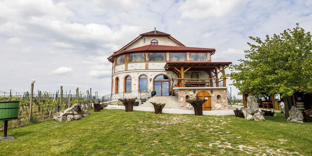 Skvelý relax na južnej Morave až pre 6 osôb: ubytovanie medzi vinicami, polpenzia a víno