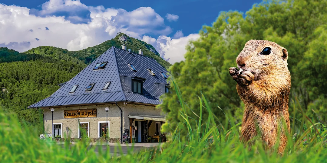 Rodinný penzión pri Muránskej planine - raňajky, privátny wellness, Obrovisko aj múzeum Litterra