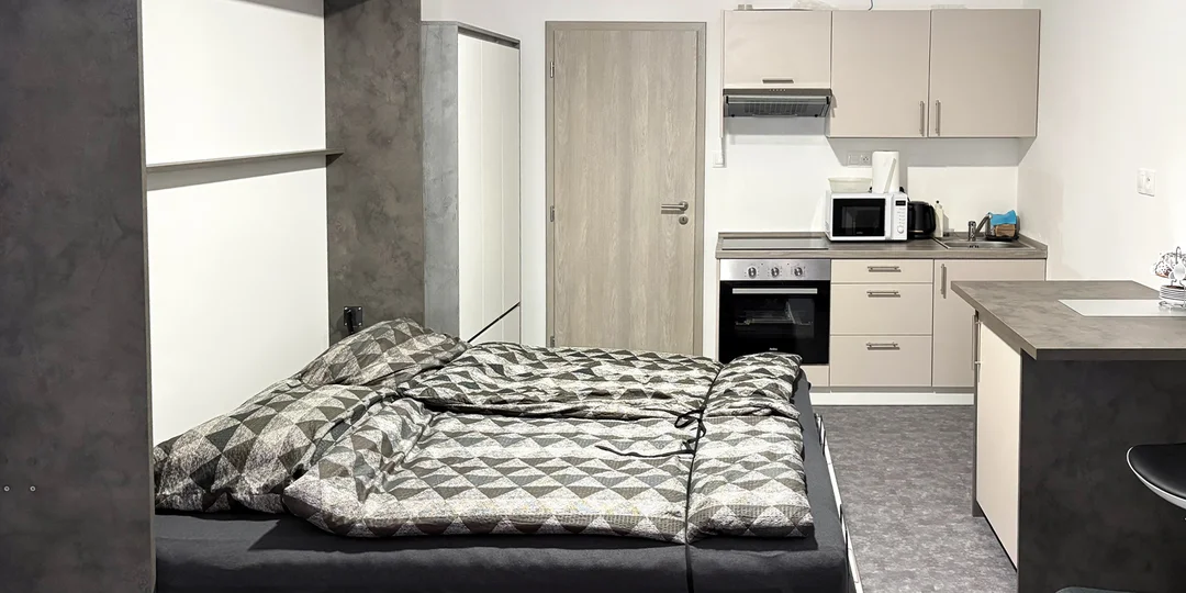 Dovolenka v Krušných horách: pobyt v plne vybavenom apartmáne, 20 min. jazdy od Klínovca