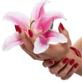 Lilian Nail Salon
