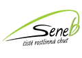 Seneb