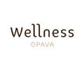 Wellness hotel Opava 1