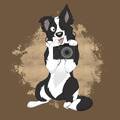 Fotíme psy