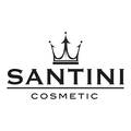 Santini Group
