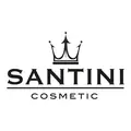 Santini Group
