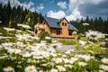 Apartmány Mezivodí