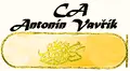 CA Antonín Vavřík