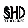 Sea Horse Diving Potápění