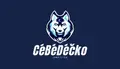 Jiná Liga CéBéDéčko Radoslav Škubník