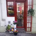 Květiny Iris
