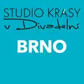 Studio krásy v Divadelní