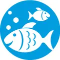 Ryby a rybičky