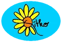 Qítko hobby