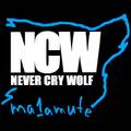 Never Cry Wolf - jízdy se psím spřežením