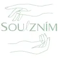 Soulzním