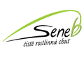 Seneb