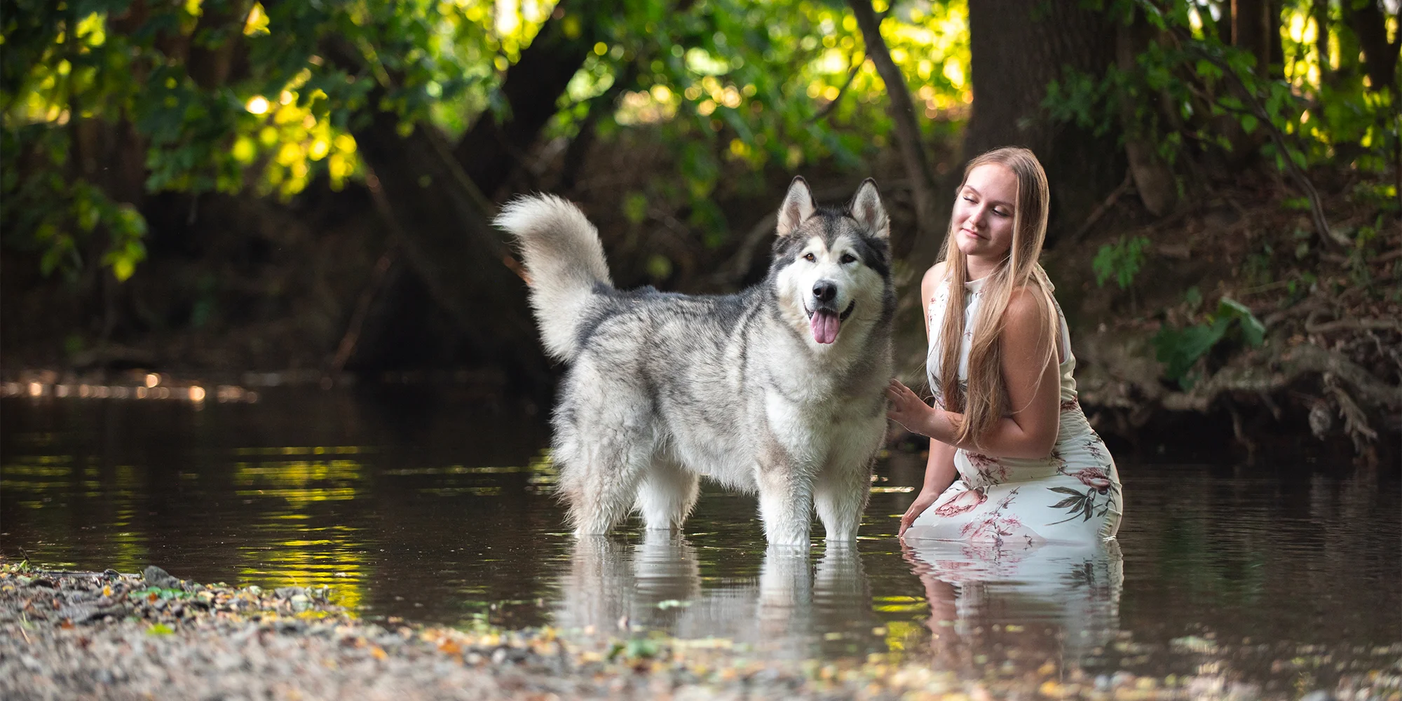 Fotografování psů: 6–20 upravených snímků