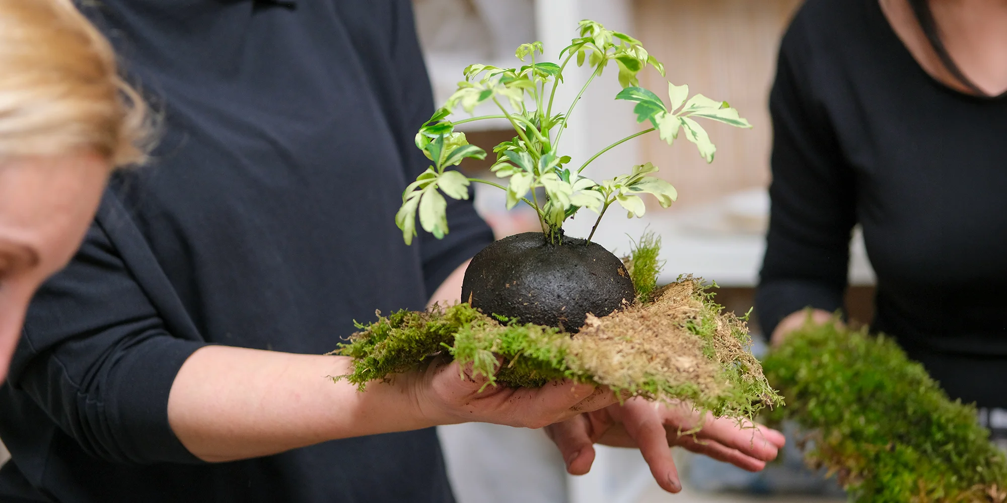 Kurz výroby přírodní dekorace kokedama: 1–2 osoby