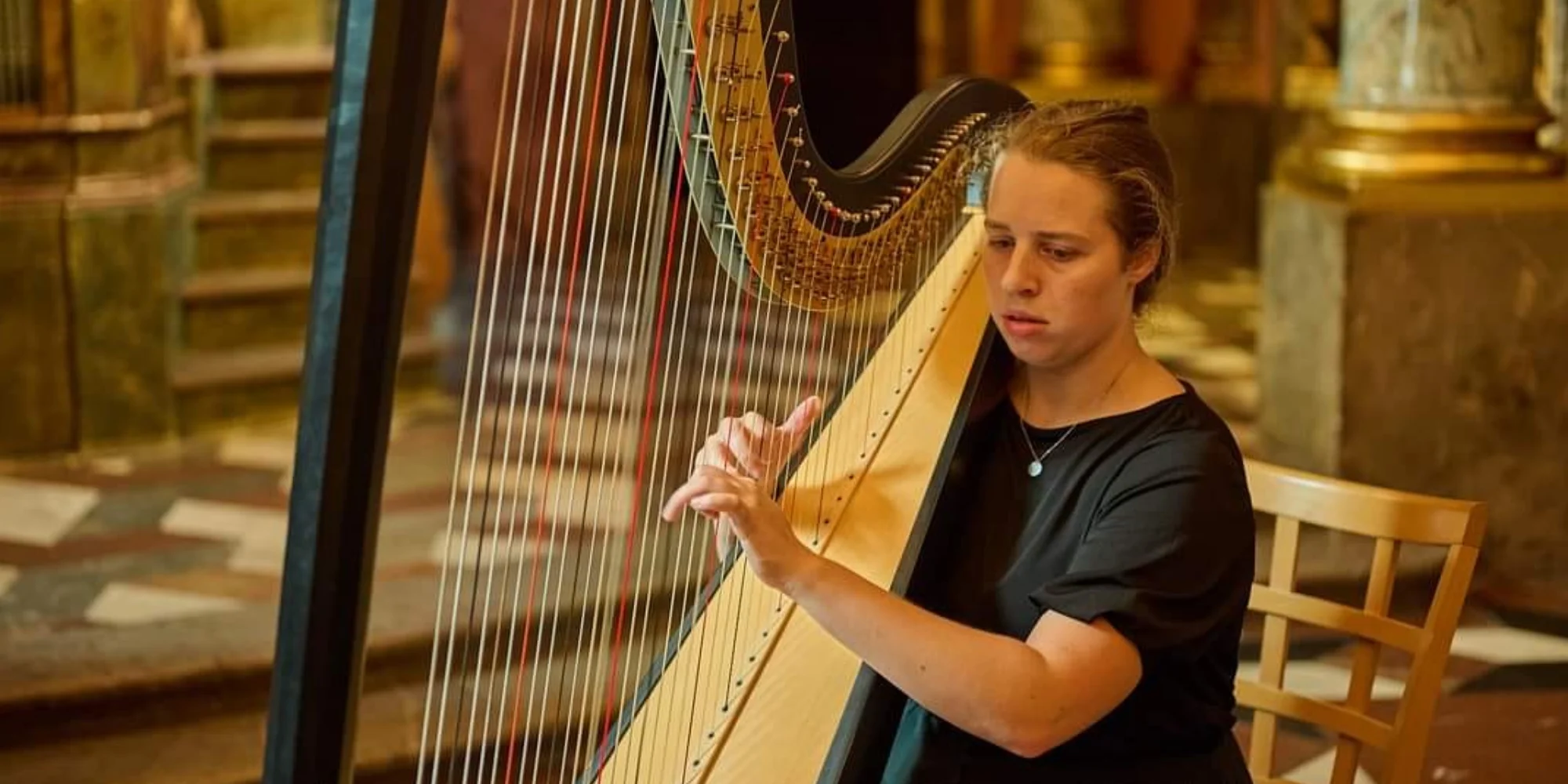 Festival Olympus Musicus: vstup na benefiční koncert