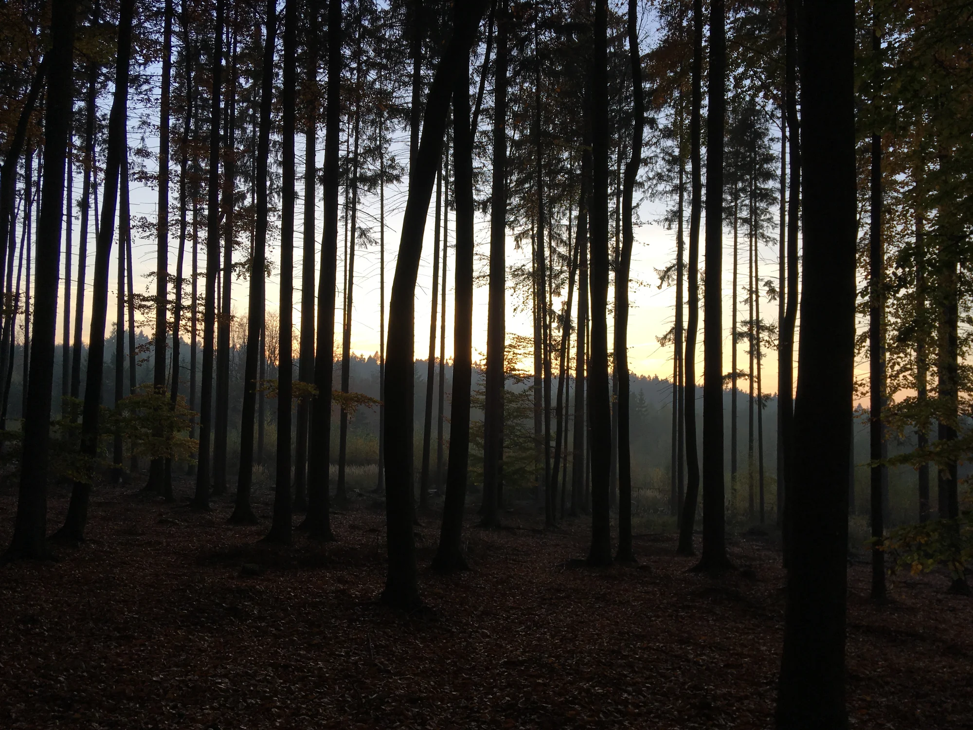 Pražská zákoutí, jak je neznáte: týmová outdoorová hra Příběhy neznámé Prahy