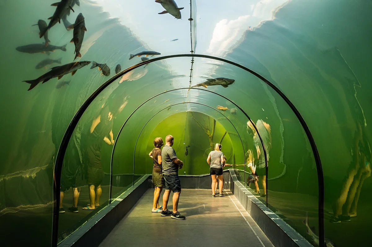 Relax na jižní Moravě s jídlem i vstupy do aquacentra a privátním wellness