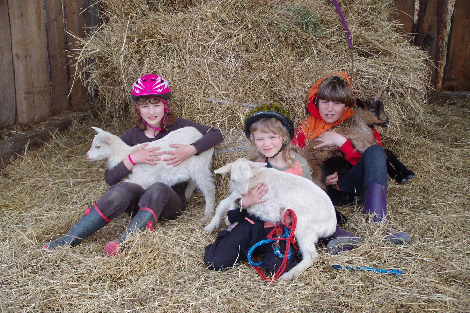 Farmářem na zkoušku: den na statku, jízda na koni a v traktoru, práce se zvířaty