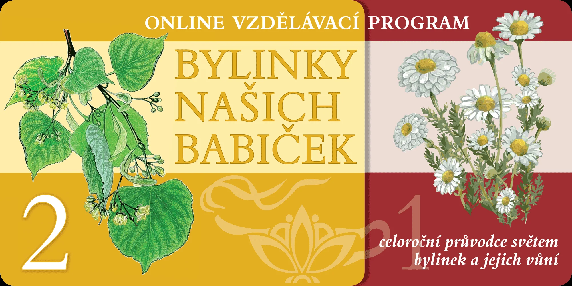 Bylinky našich babiček: online vzdělávací program plný rad a tipů