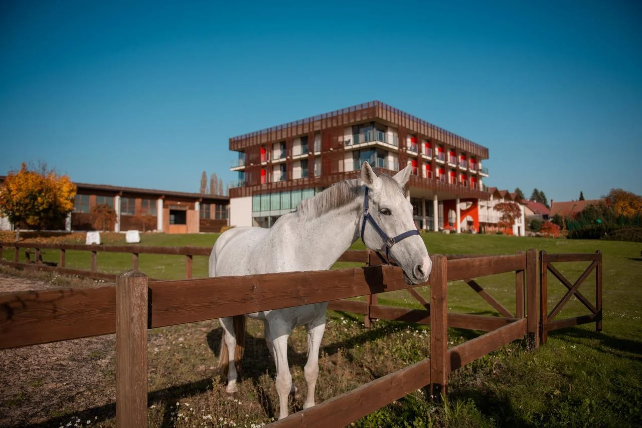Luxusní hotel ve Velichovkách: bohaté snídaně, neomezený wellness i sport