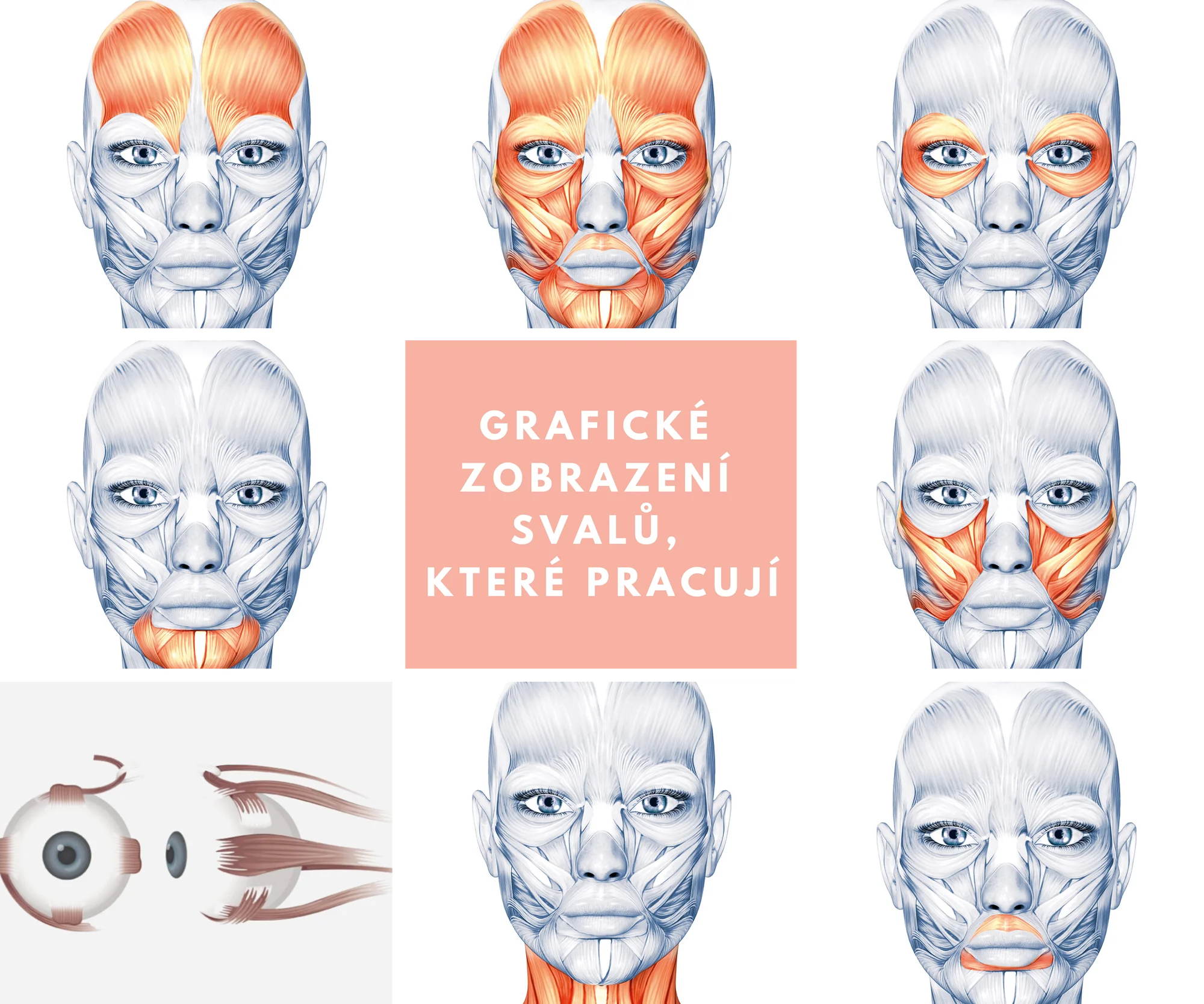 Procvičte a omlaďte obličej: online kurz obličejové jógy s bonusy