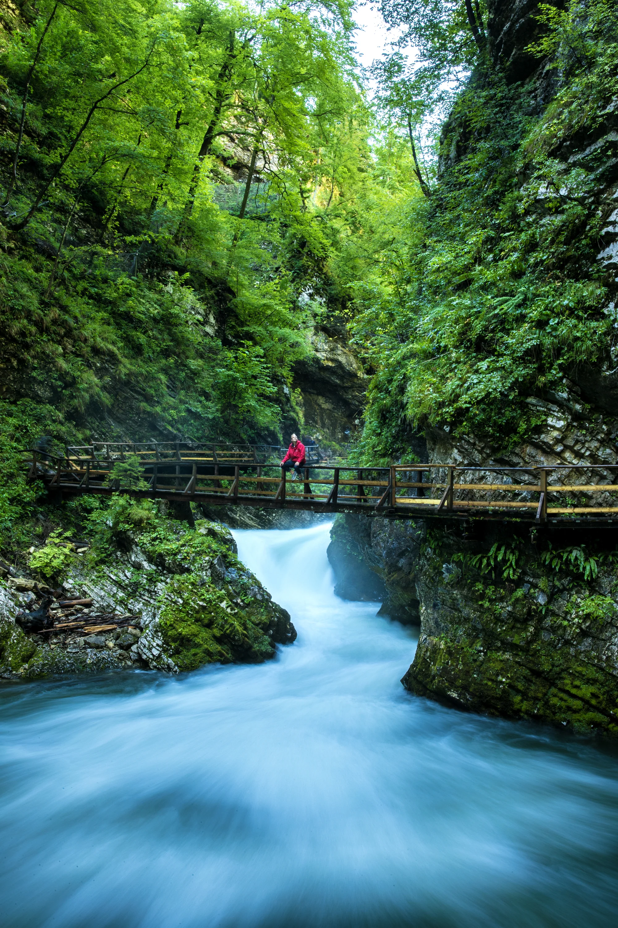 Poznávací výlet do Slovinska: jezero Bled, hrad i soutěska Vintgar