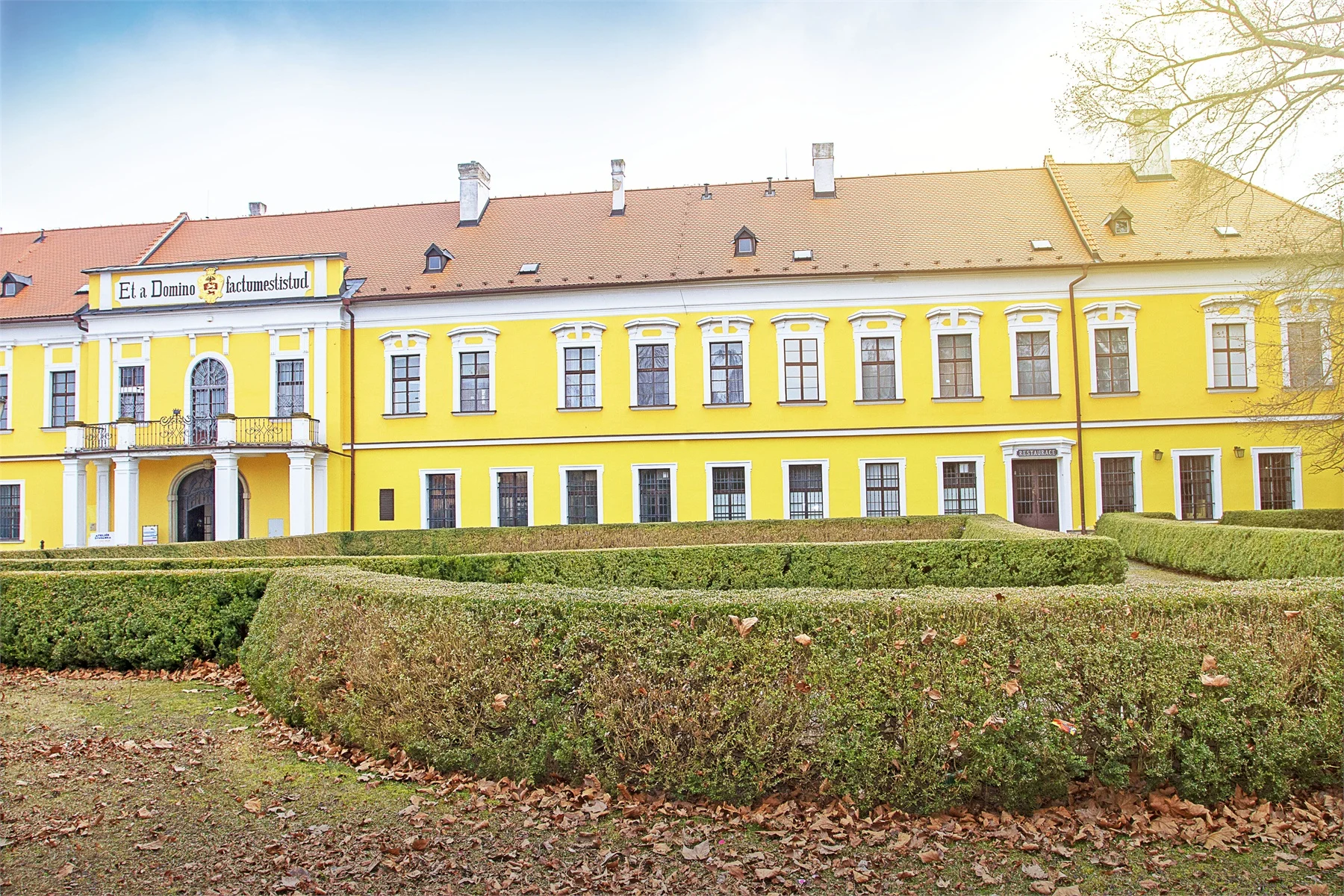 Půl kila žeber sous-vide s křenem i česnekovým chlebem pro 1 nebo 2 osoby
