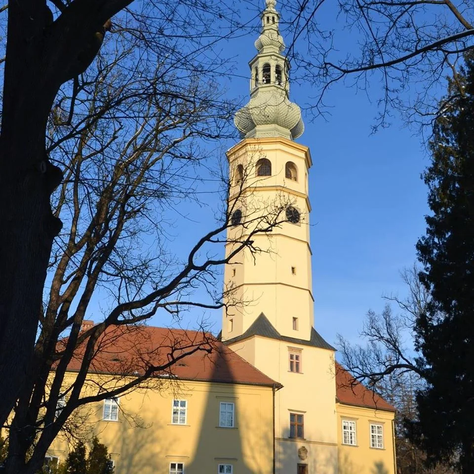Vstupné na romantický zámek Tovačov pro 1 osobu i rodinu
