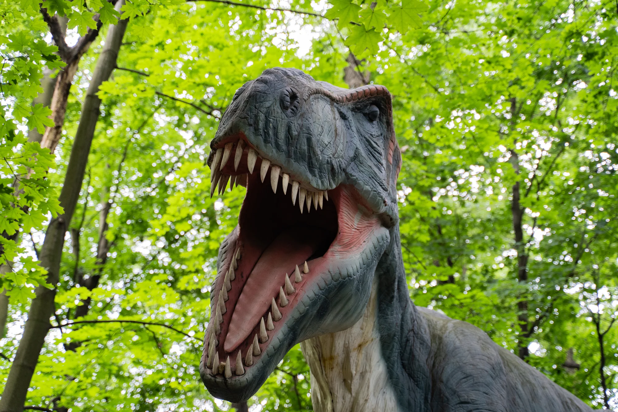 Navštivte park plný dinosaurů a zábavy: 2denní vstup do polského Zatorlandu