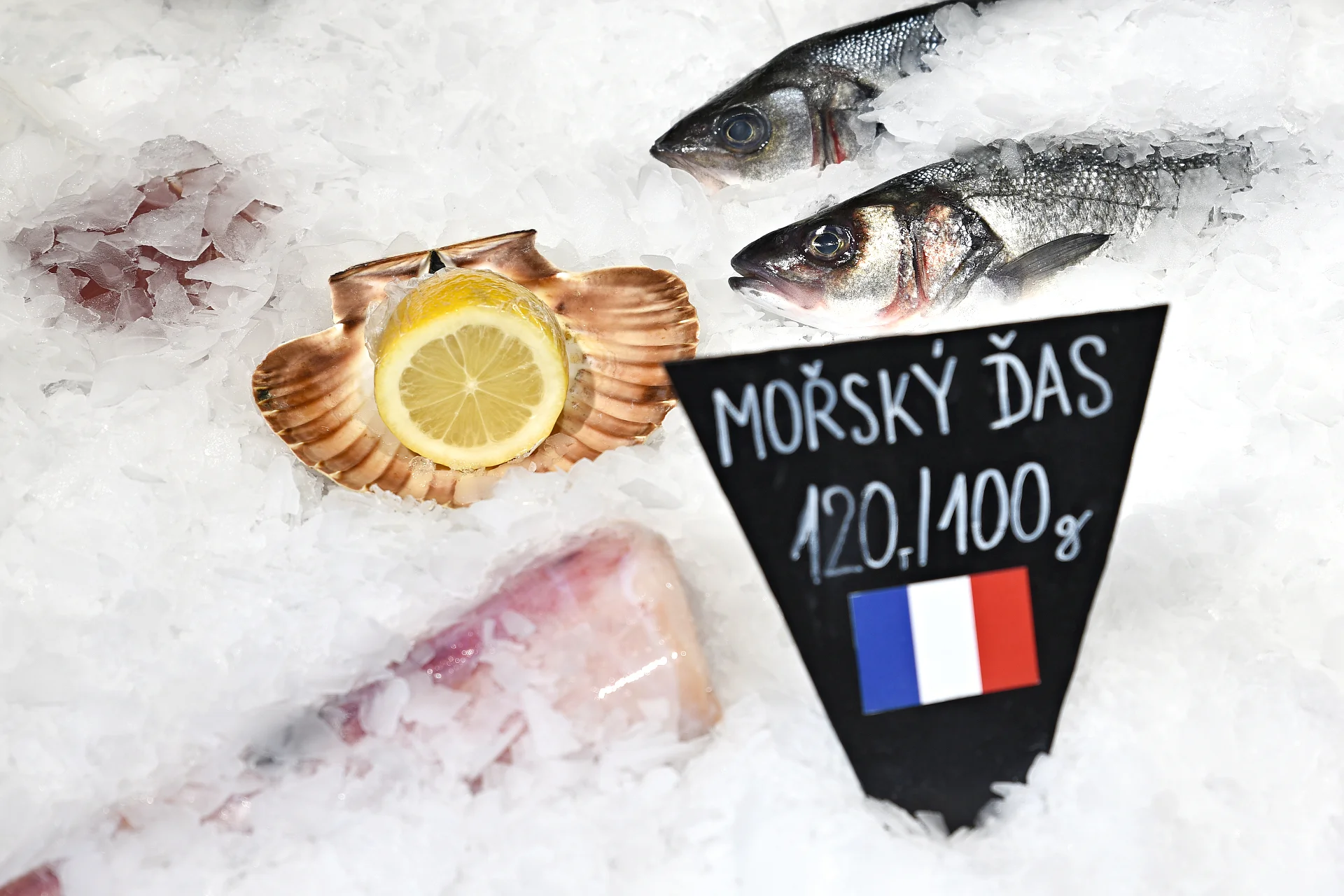 Delikatesa z Normandie: ústřice s limetkou či citronem a sklenka prosecca