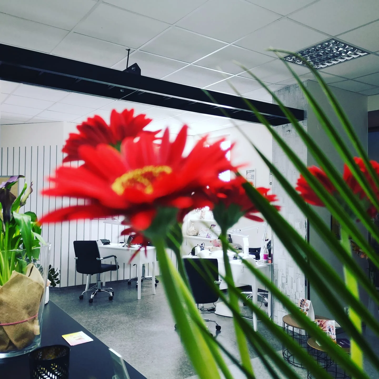 Mikrojehličková mezoterapie celého obličeje vč. aplikace kyseliny hyaluronové
