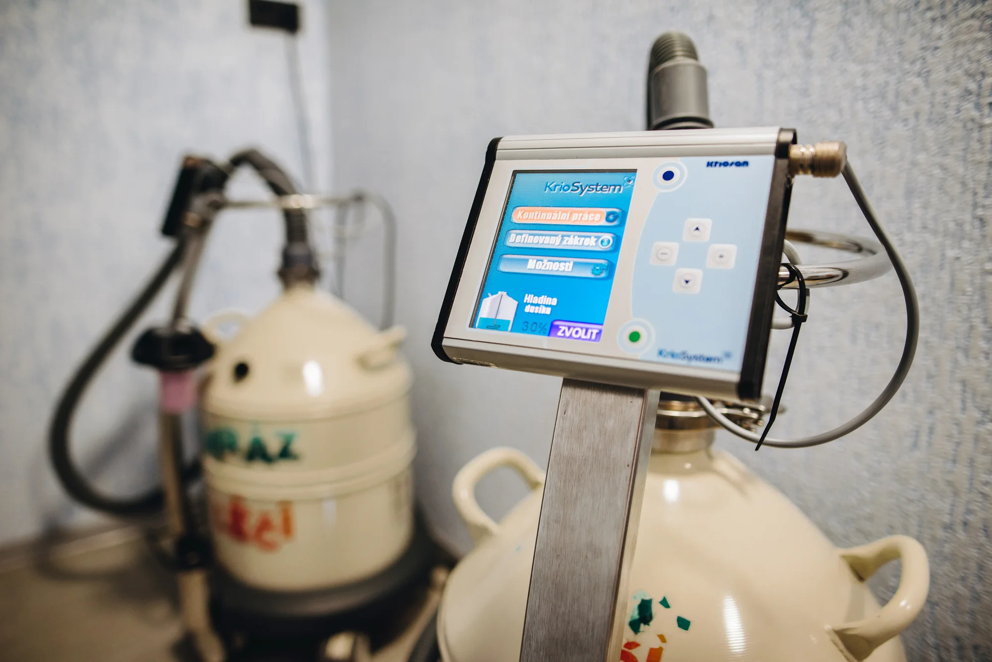 Léčivá síla mrazu na vlastní kůži: vstup do polária pro 1 nebo 2 otužilce