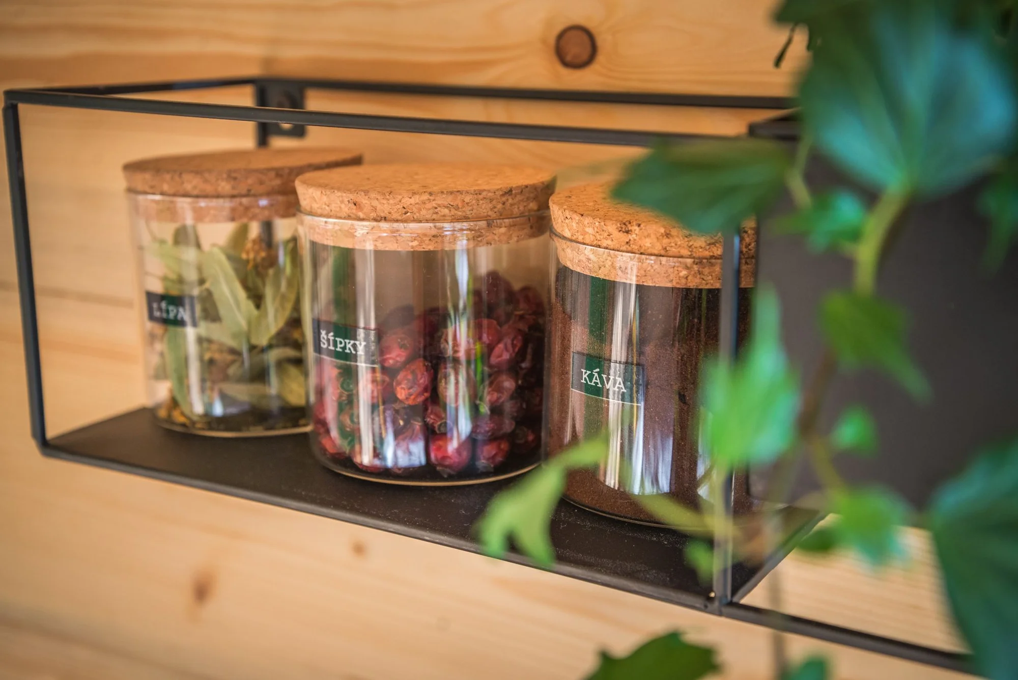Netradiční pobyt na stromě: treehouse na Vysočině, vyhřívaný koupací sud i lahev vína