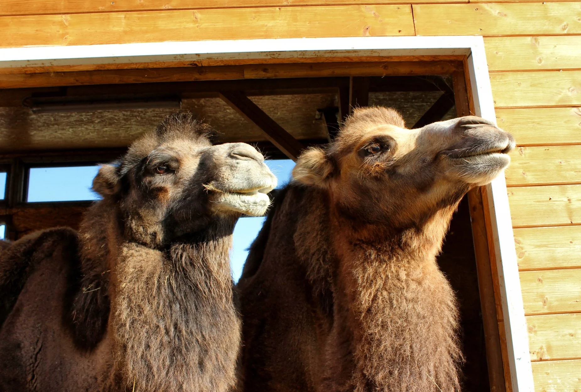 Zvířátka od ar po zubry: vstupné do zoologické zahrady v Táboře