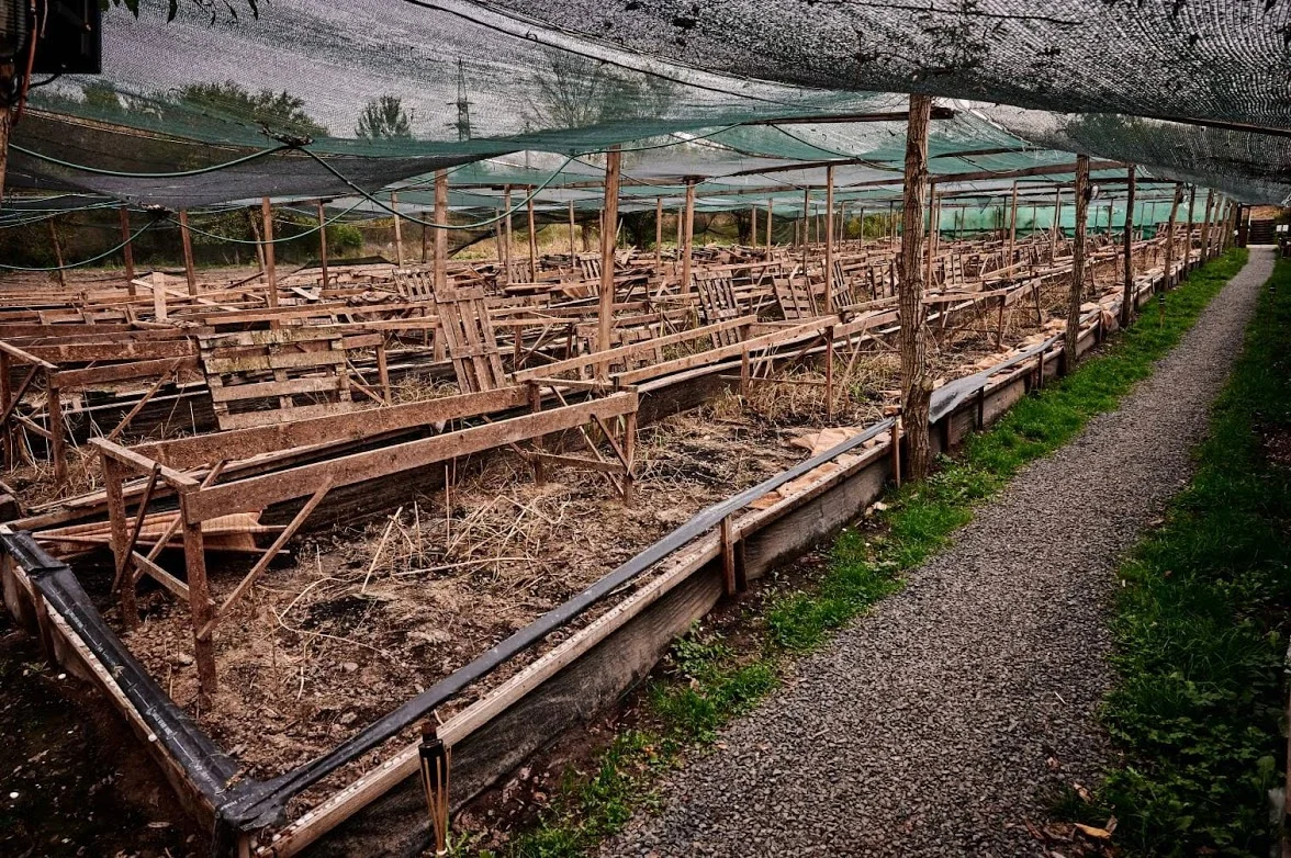Víkendová exkurze na šnečí farmu včetně vaření a ochutnávky pro 2 osoby
