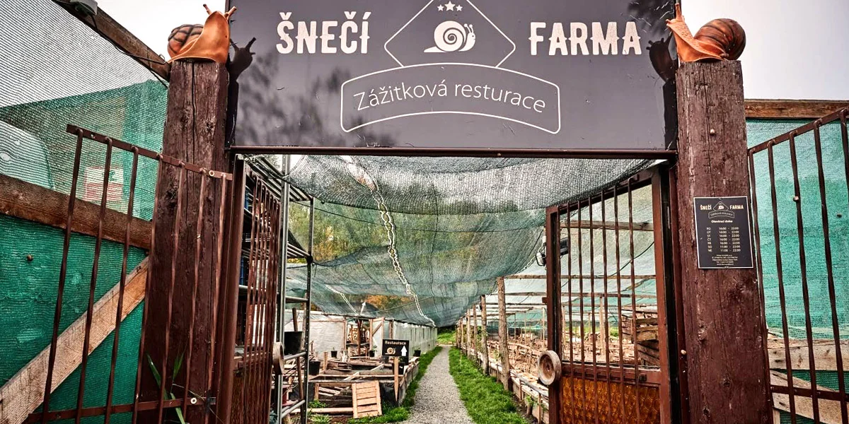 Vouchery na 500–2 000 Kč na jakákoliv jídla i nápoje na Farmě šneků
