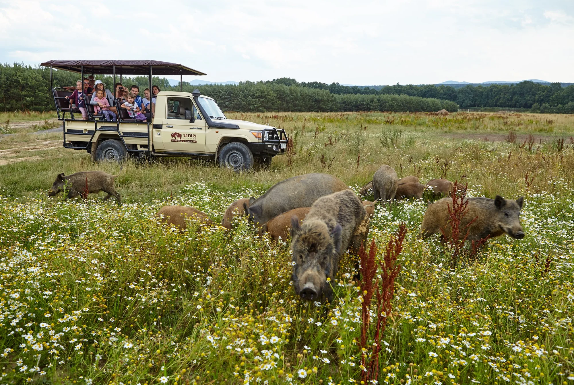 Pobyt v unikátním domě Prvok tištěném na 3D tiskárně: ubytování, snídaně a Offroad Safari jízda