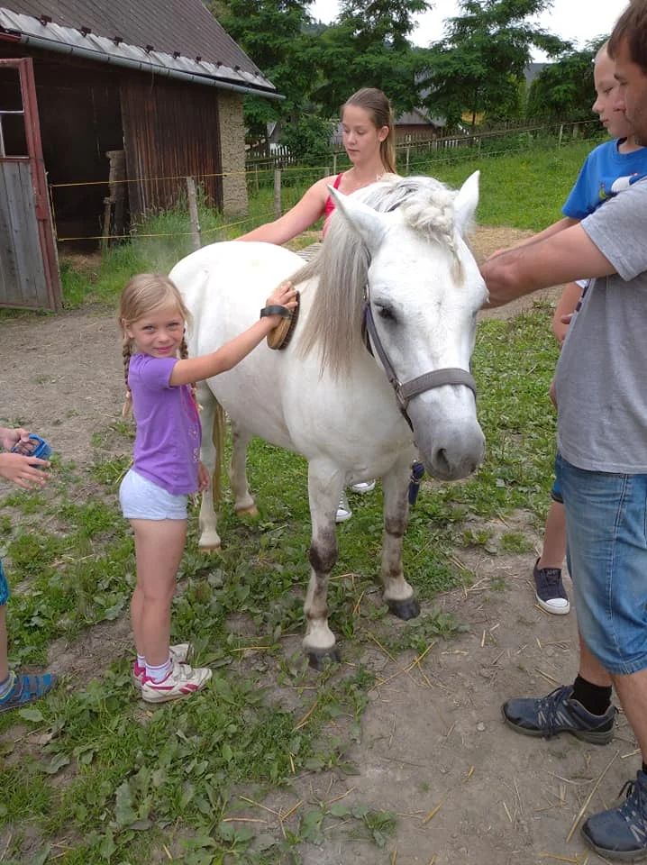 Vyjížďka na koni pro dospělého nebo na malém poníkovi pro dítě
