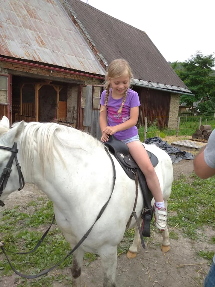 Vyjížďka na koni pro dospělého nebo na malém poníkovi pro dítě