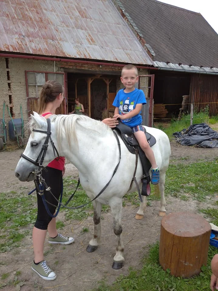 Vyjížďka na koni pro dospělého nebo na malém poníkovi pro dítě
