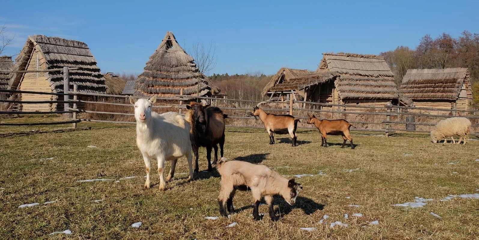 Celý den v přírodním parku Zeměráj: nevšední zážitky, hry a aktivity