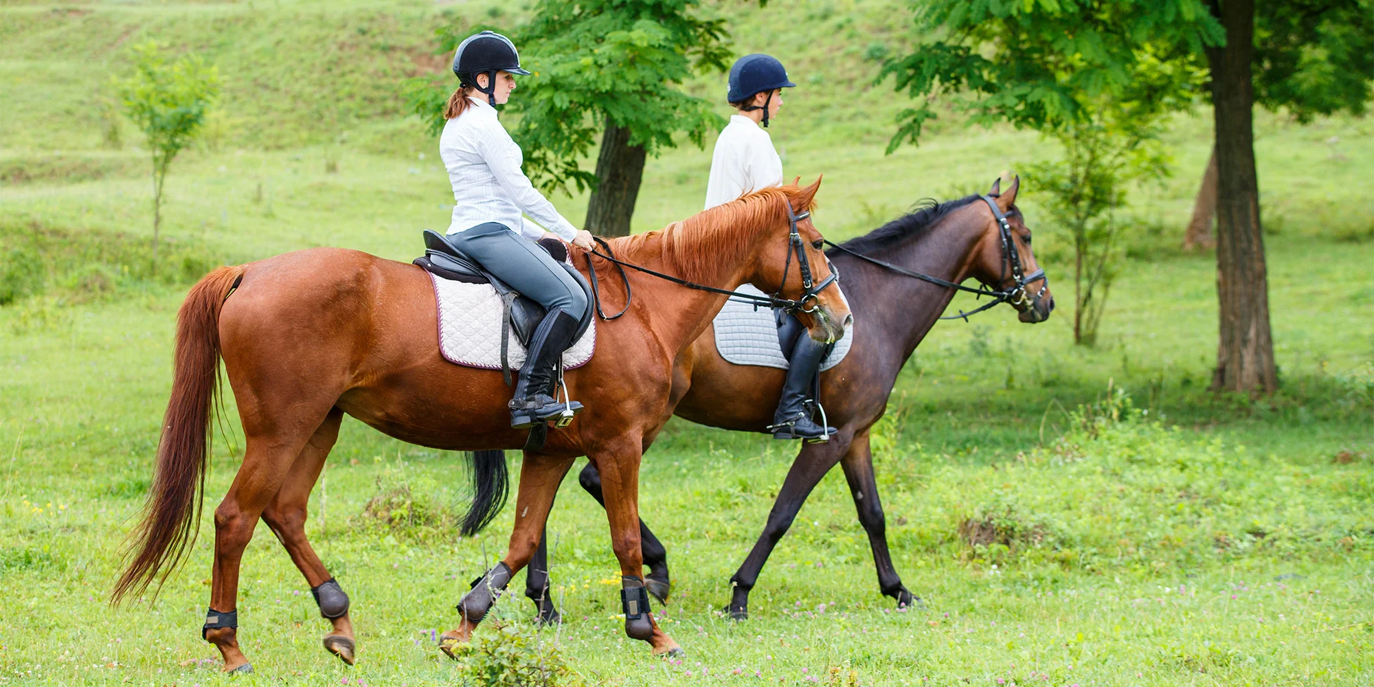 Vyjížďka na koni pro dospělého nebo na malém poníkovi pro dítě