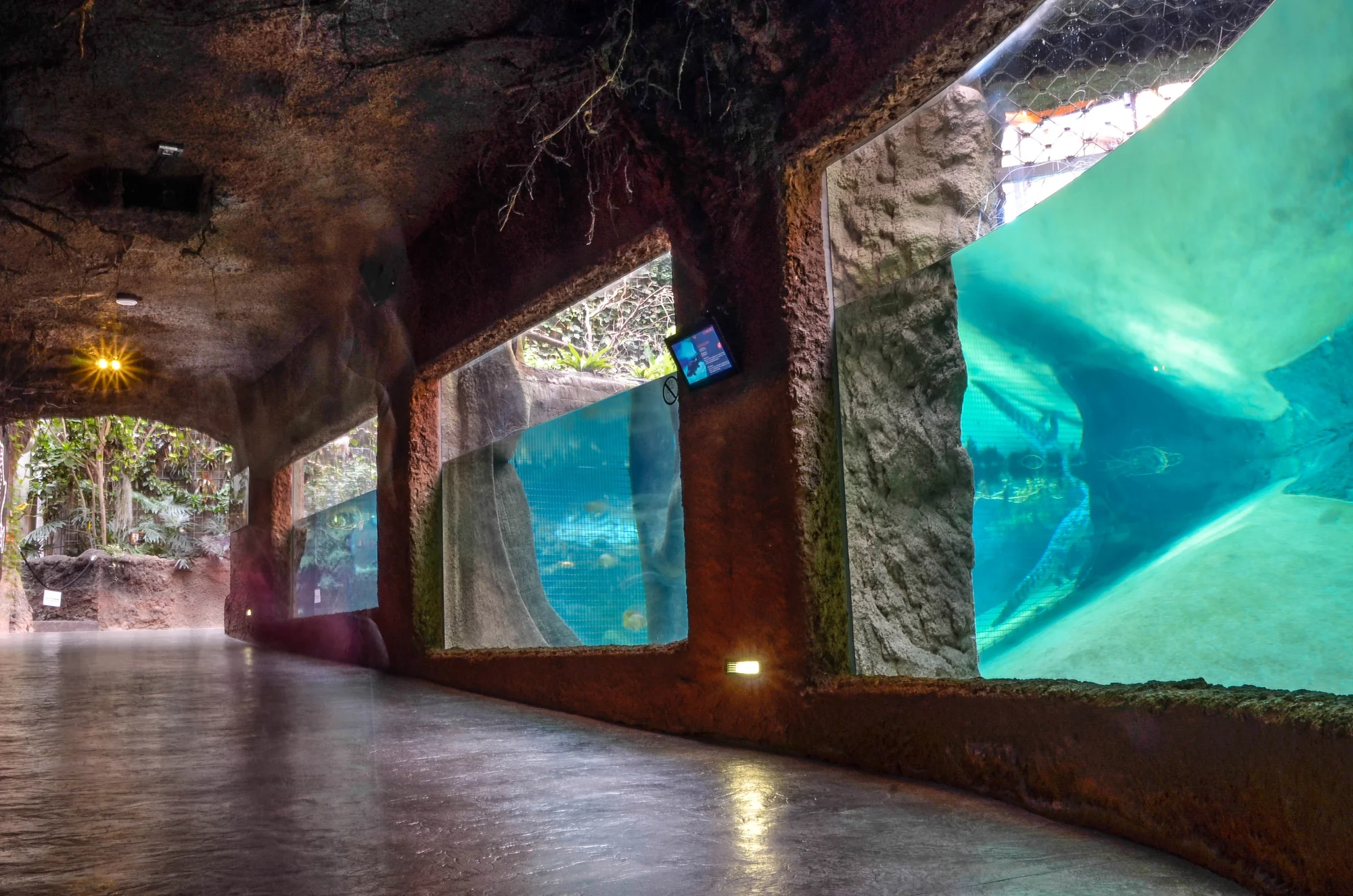 Výlet do Vratislavi: návštěva zoo s Afrikáriem i historické centrum města