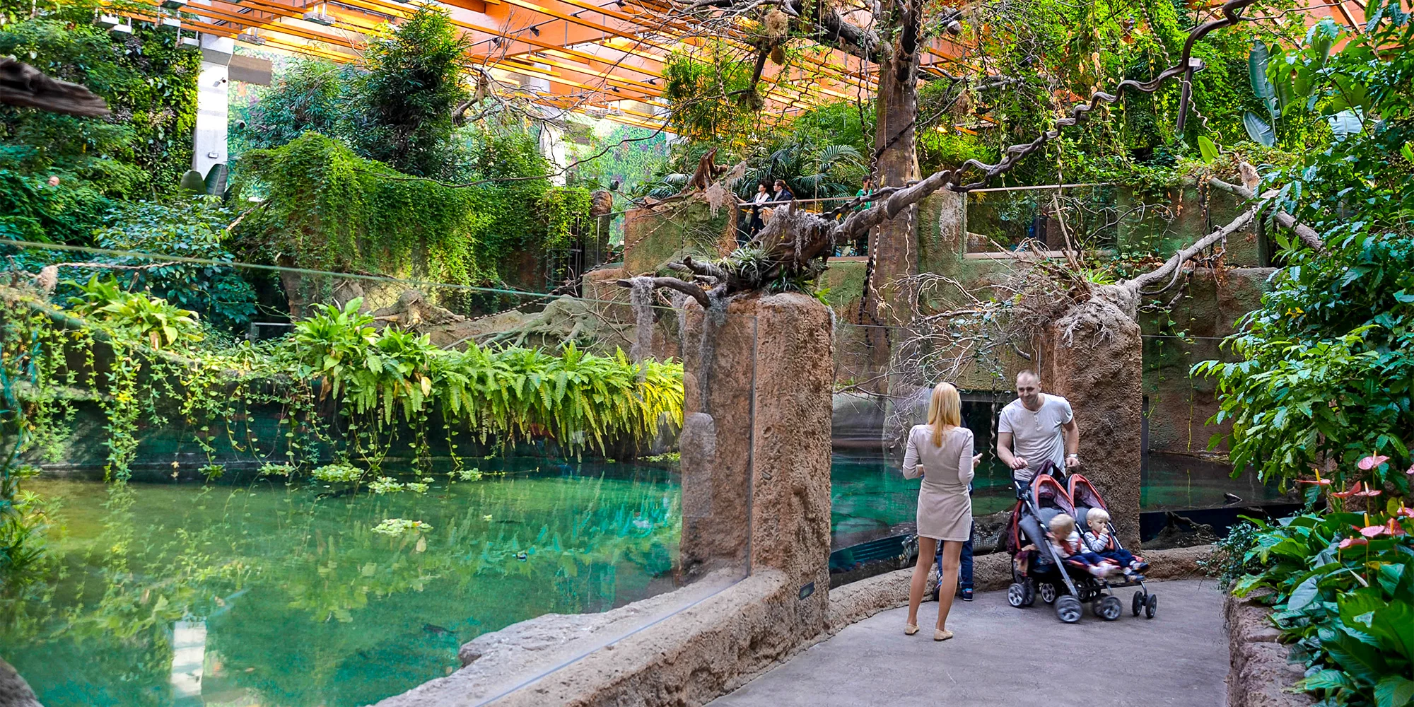 Výlet do Vratislavi: návštěva zoo s Afrikáriem i historické centrum města